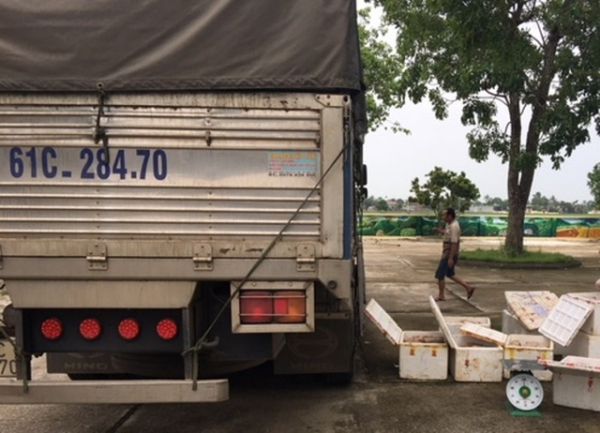 25-ta-ga-khong-giay-to-dem-ra-ha-noi-tieu-thu