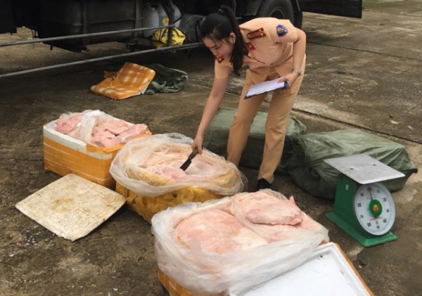 van-chuyen-25-tan-thit-bi-lon-boc-mui-hoi-thoi-di-
