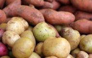Khoai lang hay khoai tây giảm cân tốt hơn?