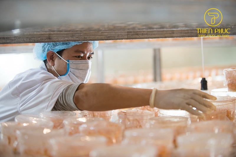 công nghệ Nano đông trùng hạ thảo của Xương khớp Bảo Nhân có gì đặc biệt?