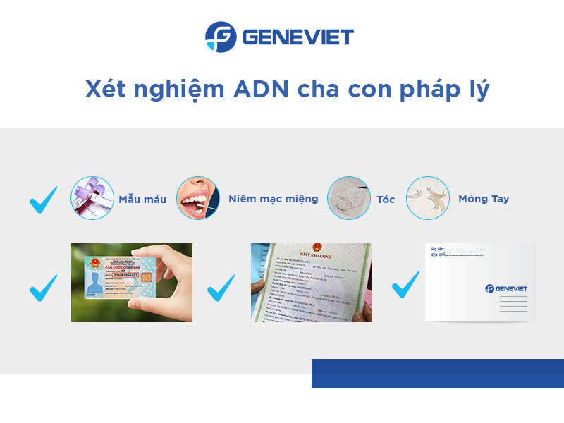 Cần chuẩn bị gì khi xét nghiệm huyết thống cha con?