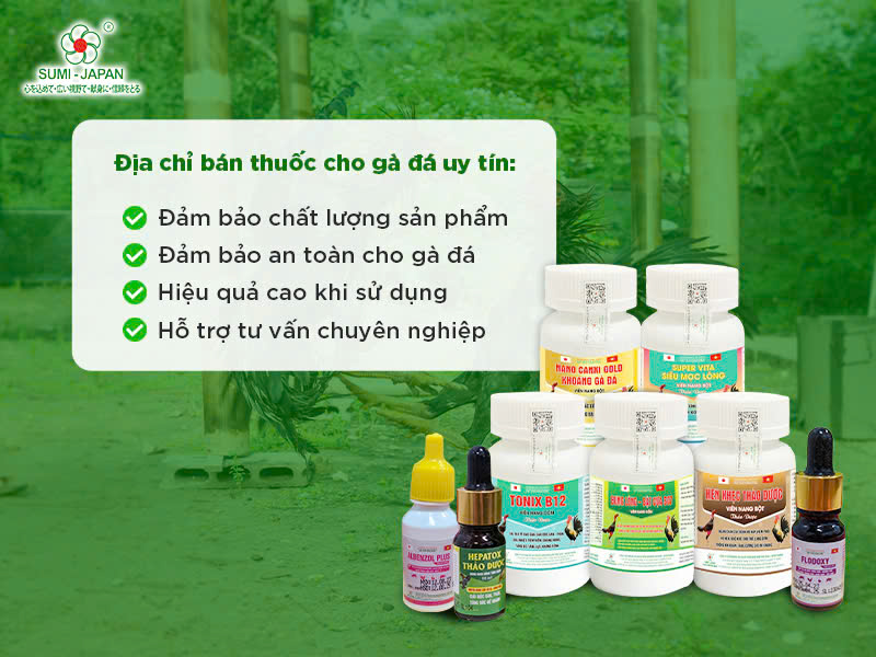 thuốc cho gà đá