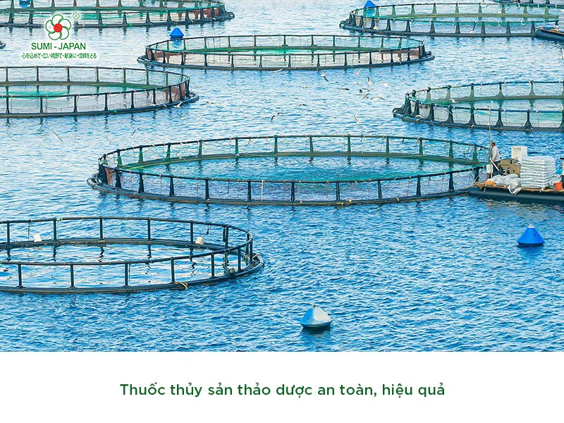 Thuốc thủy sản thảo dược