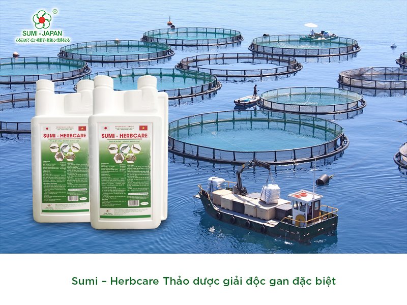 Thuốc thủy sản thảo dược